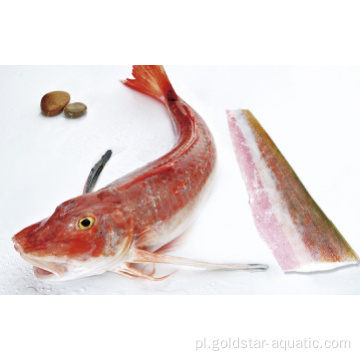 Czerwony Gurnard